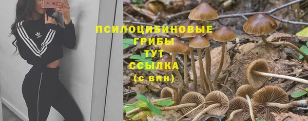 гидра Абдулино
