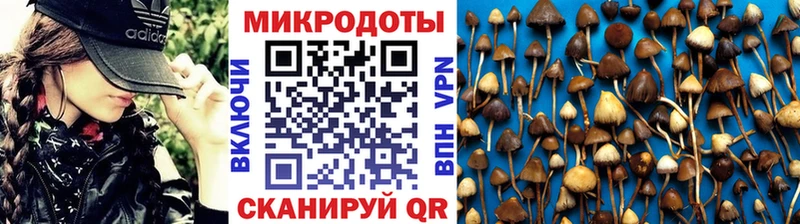 Псилоцибиновые грибы прущие грибы  Инза 